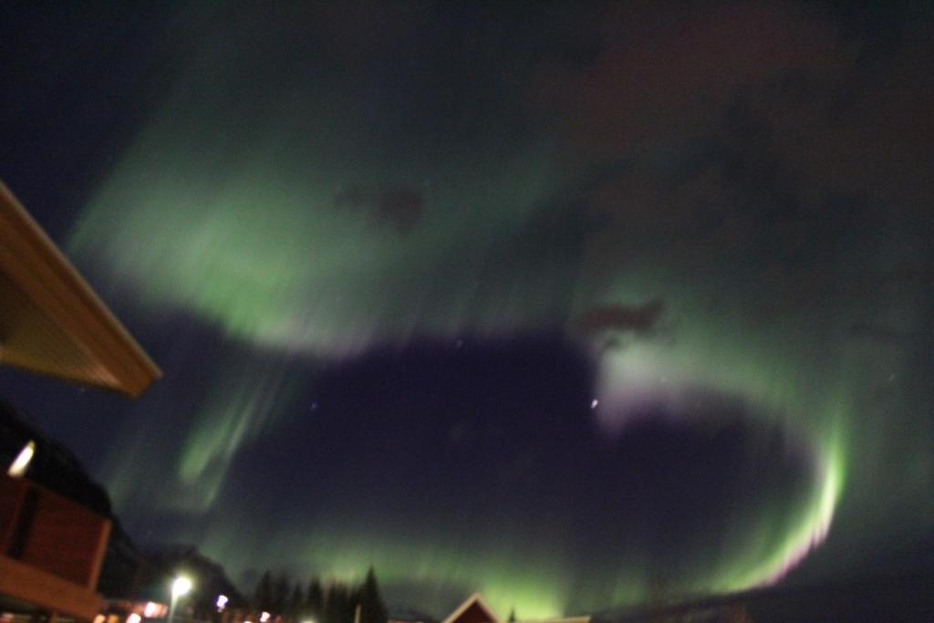 Hotel Austur Reydarfjordur Exteriér fotografie